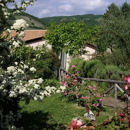 Country house Pro Vobis *